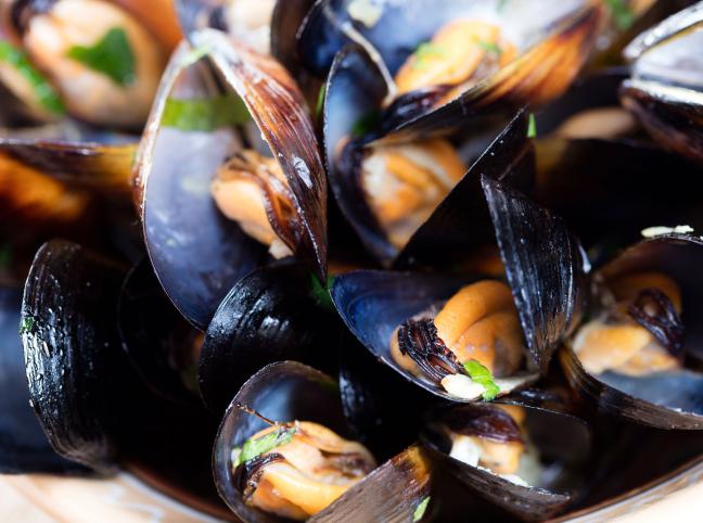 Combination deal: Entry with mussels at Vitae Goes