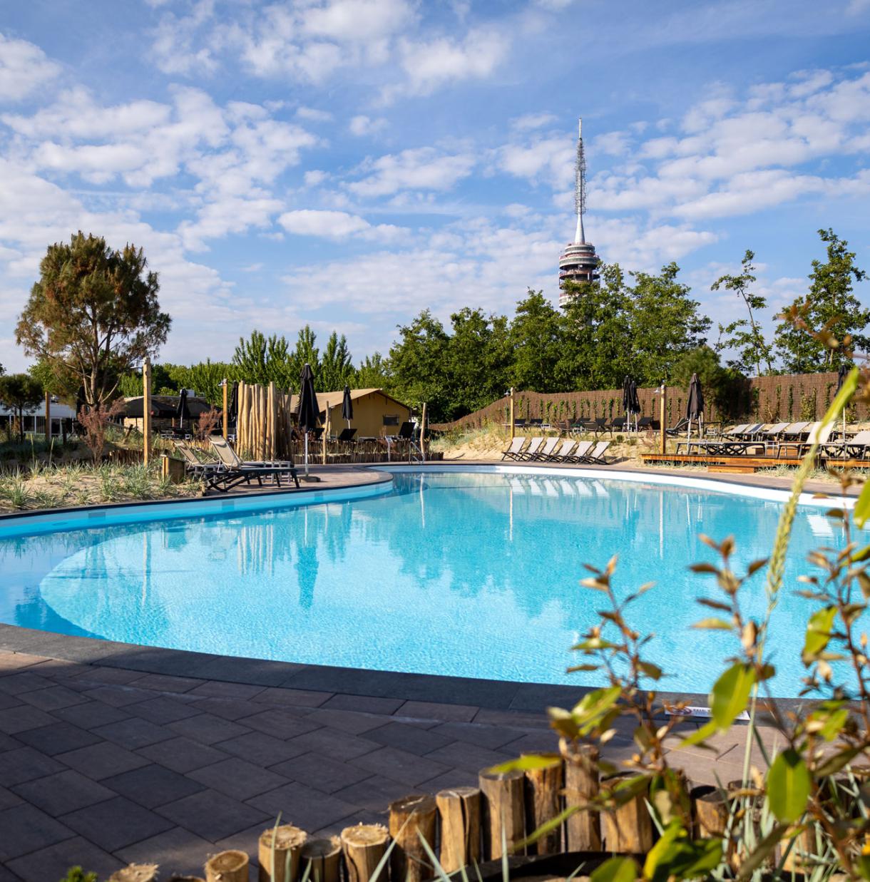 Discover the resort